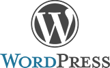 izdelava spletne strani wordpress